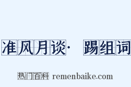 准风月谈·踢组词是什么意思的图片